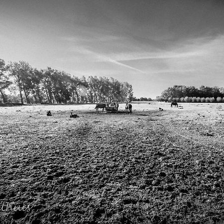 Bed & Breakfast De Bimd Hoeve De Bus Exterior photo